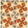 escher2-103_twon_Shells-and-Starfish