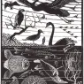escher2-140_twon_The-Fifth-Day-of-the-Creation