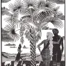 escher2-141_twon_The-Sixth-Day-of-the-Creation