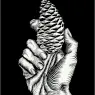 escher2-160_twon_Hand-with-Fir-Cone