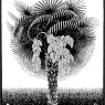 escher2-161_twon_Palm-Tree