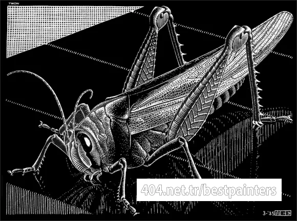 escher2-172_twon_Grasshopper