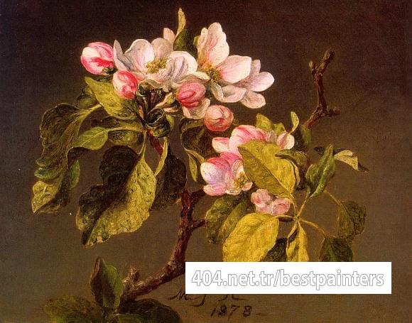 Apple_Blossoms_CGF