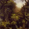 Brazilian_Forest_ATC
