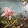Cattelya_Orchid_and_Three_Brazilian_Hummingbirds_CGF