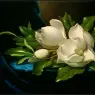 Giant_Magnolias_on_a_Blue_Velvet_Cloth_NGA