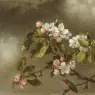 Heade_Martin_Johnson_Hummingbird_And_Apple_Blossoms