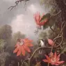 Martin Johnson Heade (1819-1904)