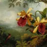 Orchids_and_Hummingbird_ATC