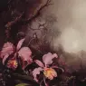 Two_Orchids_in_a_mountain_Landscape