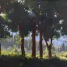 Through_the_Trees