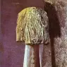 Max Ernst