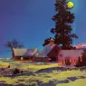 Moonlight_Night-Winter