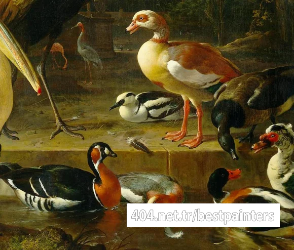 Hondecoeter_80PelDet