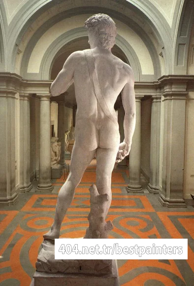 Michelangelo_David_(rear_view)