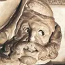 Michelangelo_Tomb_of_Giuliano_de-_Medici_detail_Night_detail1