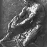 Model_Study_1796