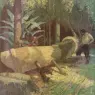N.C. Wyeth Illustrations