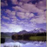 bpd_Audubon_30