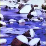 bpd_Audubon_42