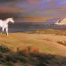 Shanks_Nelson_Catalina