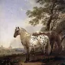 Berchem_Horses