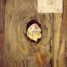 The_Peephole