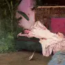 CAM23BTS