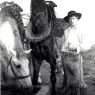 Horses_at_the_Watering_Trough
