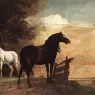 POTTER_Paulus_Horses_In_A_Field