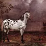 POTTER_Paulus_The_Spotted_Horse
