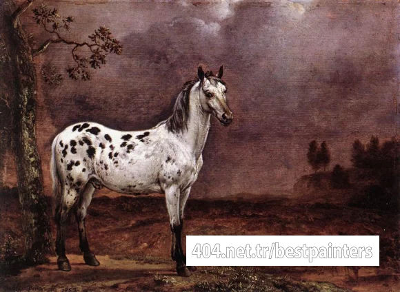 POTTER_Paulus_The_Spotted_Horse