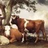 POTTER_Paulus_Young_Bull