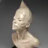 Faraut_Stella_Nova_1