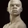 Faraut_Zimbabwe_1