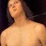 perugino12