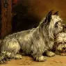 Ralph Hedley (1851-1913)