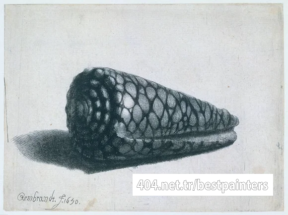 Rembrandt_Cone_Shell_(Conus_marmoreus)