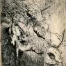 The_Small_Lion_Hunt_SIL