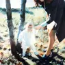 Richard Hamilton