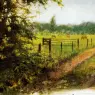 Poortvliet%20Rien%20Nature%20301%20Sun