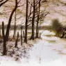 Poortvliet%20Rien%20Nature%20302%20Sun
