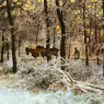 Poortvliet%20Rien%20Nature%20311%20Sun