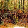 Poortvliet%20Rien%20Nature%20313%20Sun