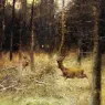 Poortvliet%20Rien%20Nature%20315%20Sun