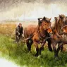 Poortvliet%20Rien%20Nature%20319%20Sun