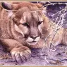 BatemanRobert-At_the_Ready-Cougar-We@WWSA