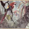 Robert Bateman