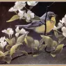 BatemanRobert-Canada_Warbler_and_Pear_Blossoms-We@WWSA