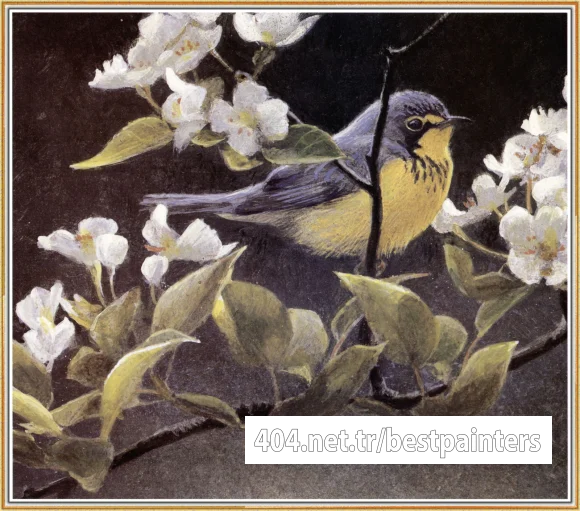 BatemanRobert-Canada_Warbler_and_Pear_Blossoms-We@WWSA